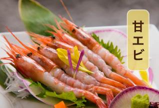 甘エビ