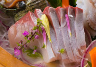 ノドグロ炙り＋舟盛り会席