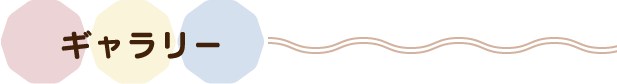 ギャラリー