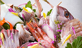 おすすめプランNo.1