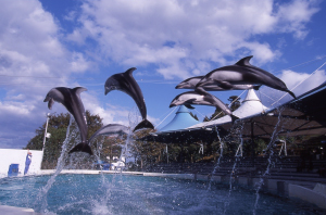 のとじま水族館