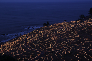 千枚田あぜのきらめき
